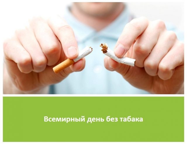 31 Мая Всемирный день без табака. 31 Мая Всемирный день без табака.