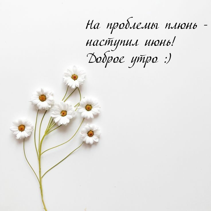 Позитивного летнего утра! Солнечного утра в Июне!