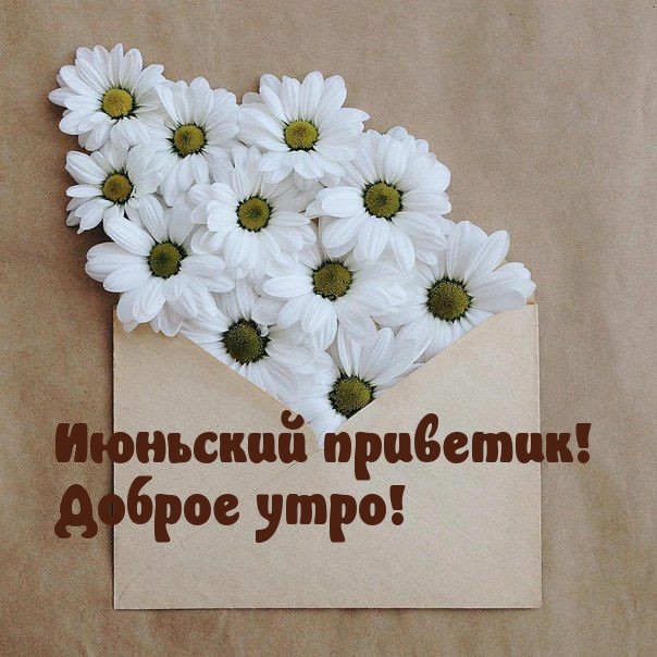 Летние картинки "С добрым утром!"