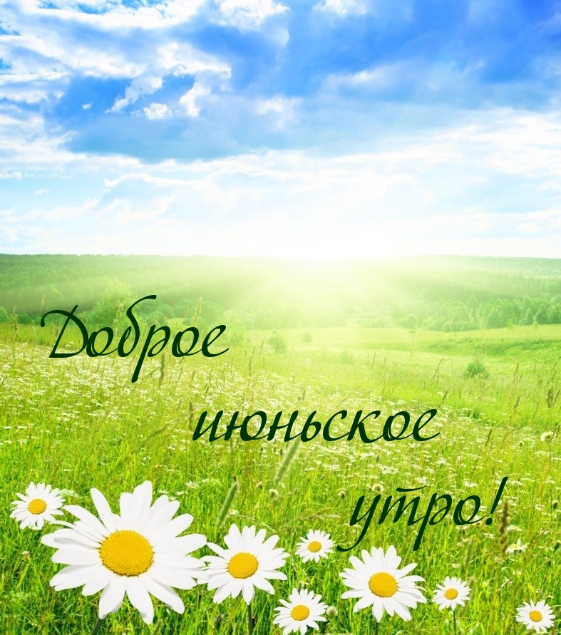 Открытки с прекрасным летним днем с цветами, прикольные летние картинки.