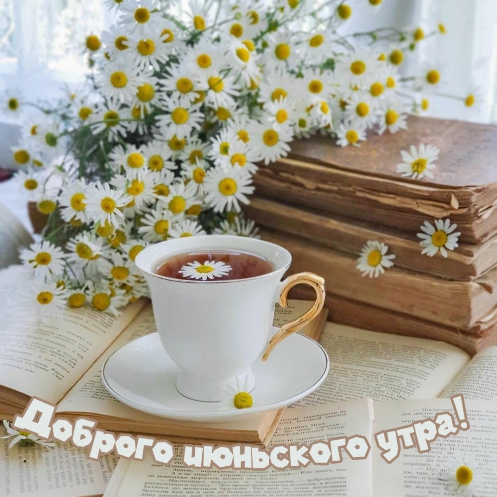 Доброе июньское утро! Июнь, картинка.