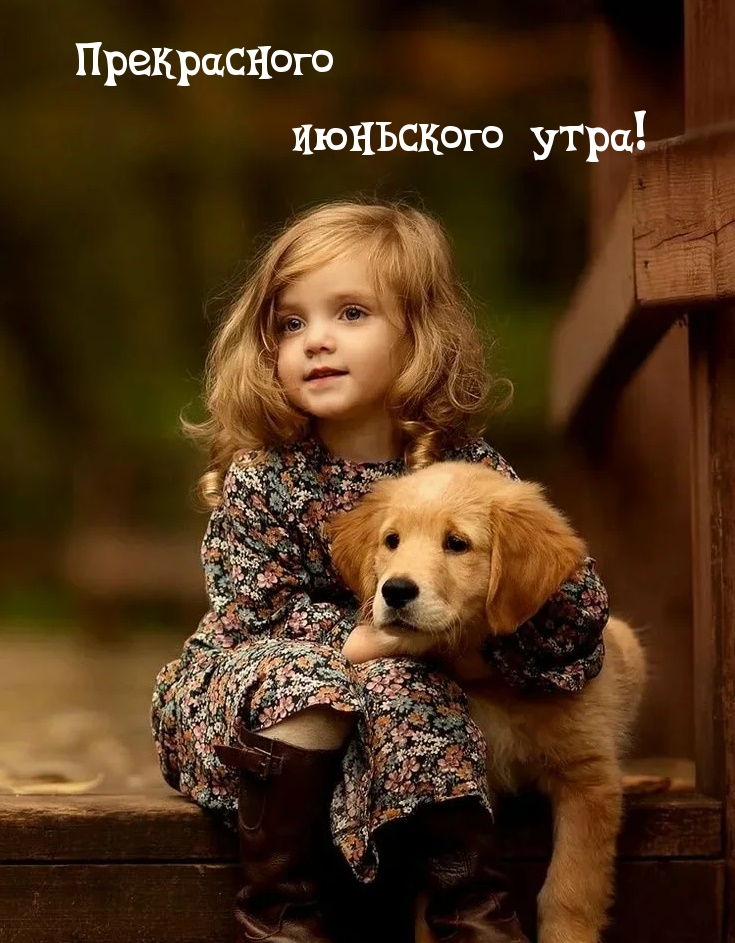 ДС добрым летним утром