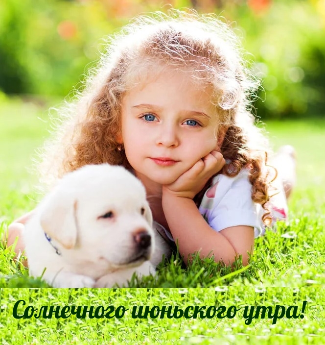 Картинки с надписью - Доброе утро, семья (50 картинок).
