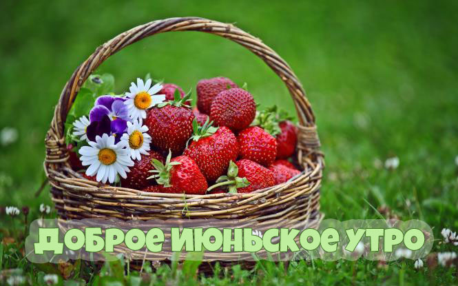 Пожелайте доброго утра, хорошего дня и прекрасного настроения кому хотите, для этого и создан раздел "Июнь".