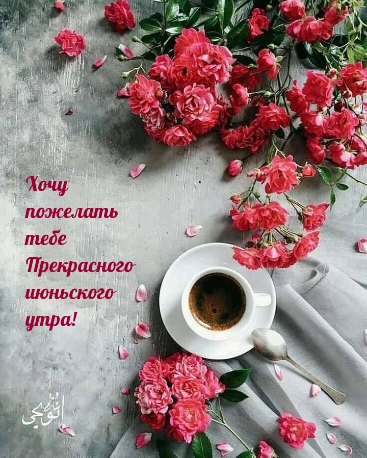 Доброго июньского утра: картинки красивые.