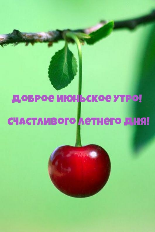 С добрым июньским утром: картинки прикольные.