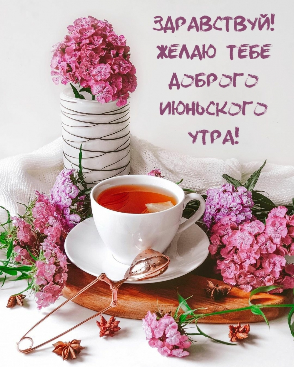 Поздравление С Добрым Летним Утром Бесплатно.
