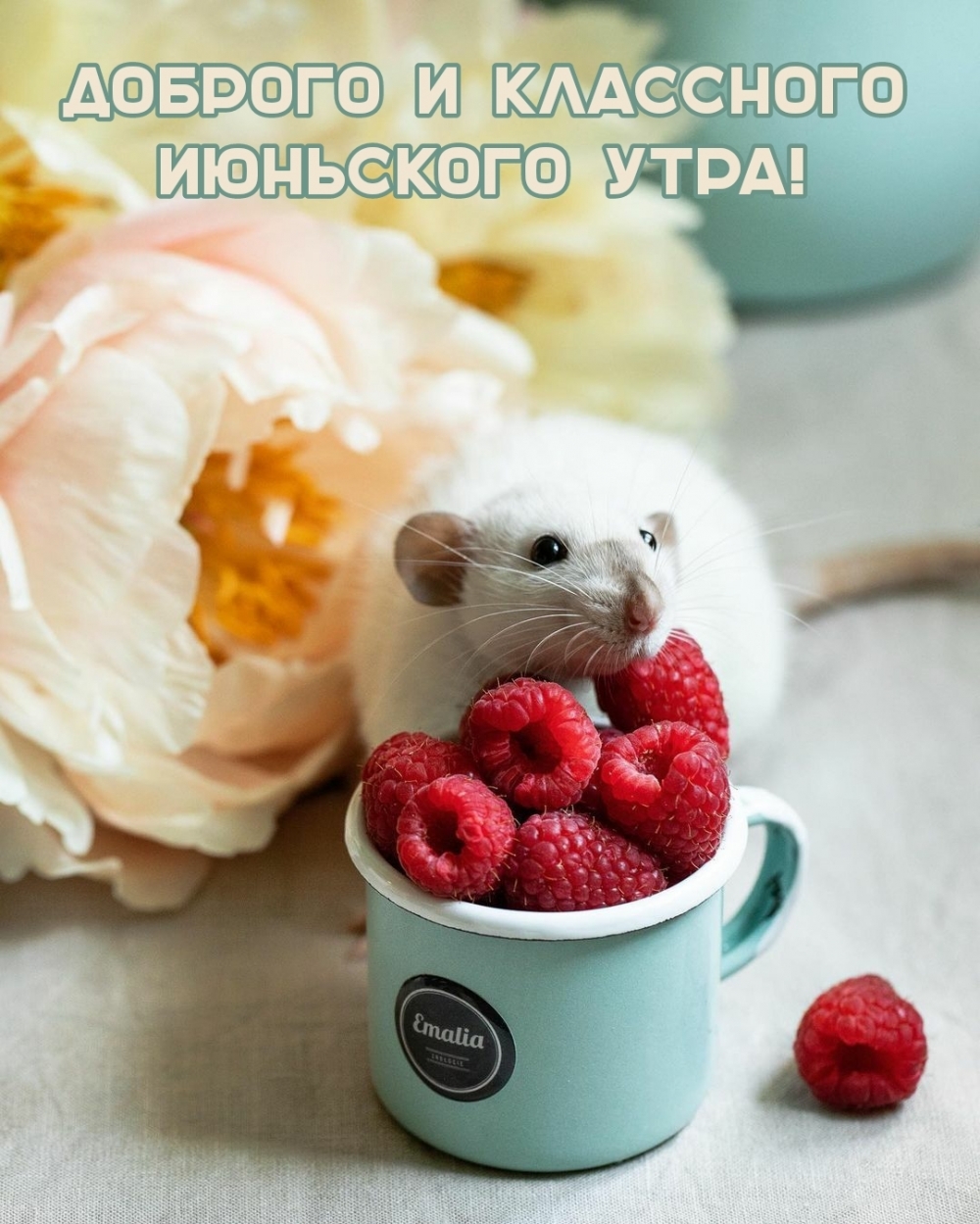Доброго утра и хорошего настроения!