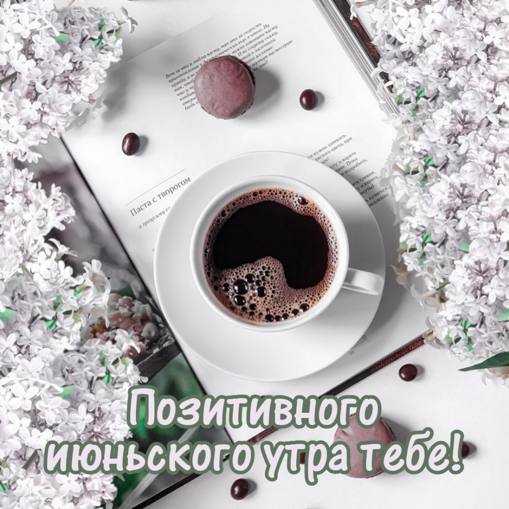 Скачать бесплатно картинки с добрым утром. Как начать утро?