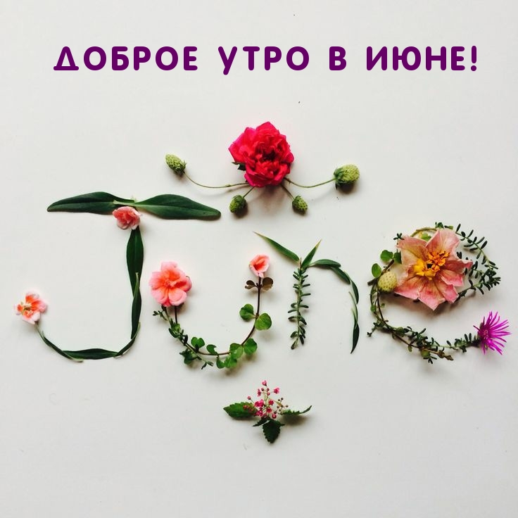 Есть что-то прекрасное в лете, а с летом прекрасное в нас. Красивая открытка с добрым утром.