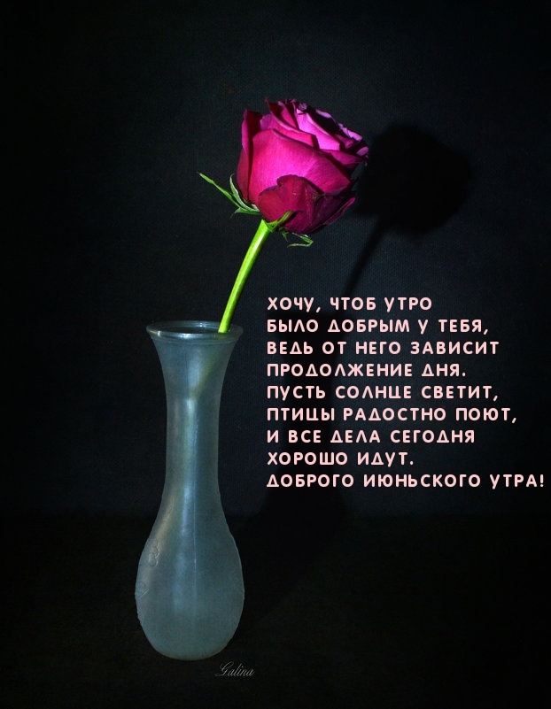 Доброе июньское лето