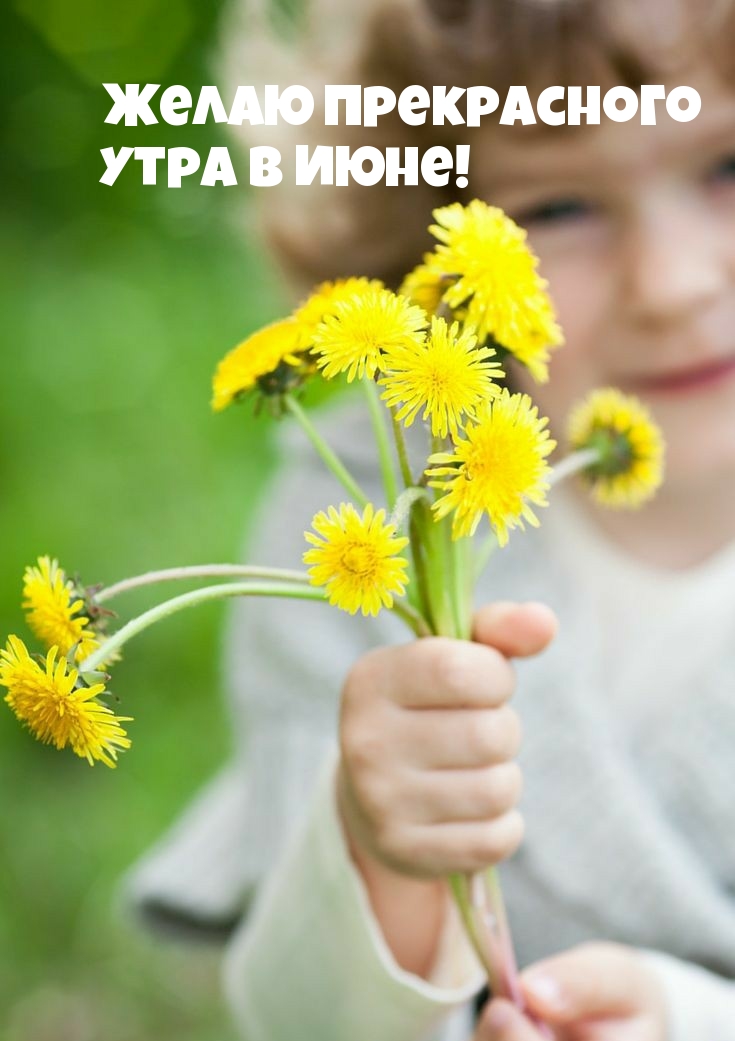 Открытки с добрым утром летние Июнь.