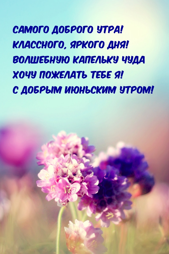 Картинка - Июньским пусть утром солнце проснется!
