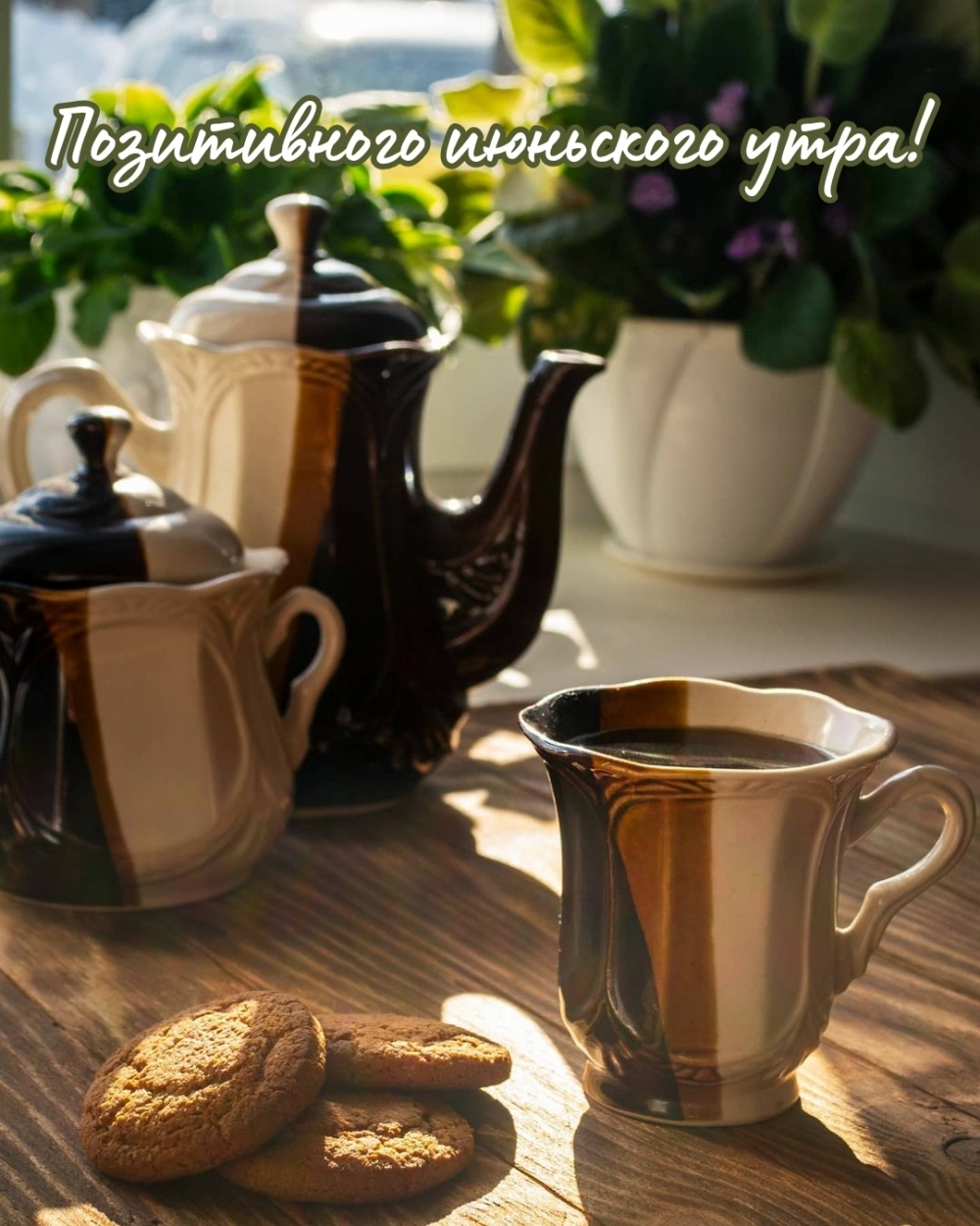 Картинка для пожелания доброго утра из раздела "Июнь".