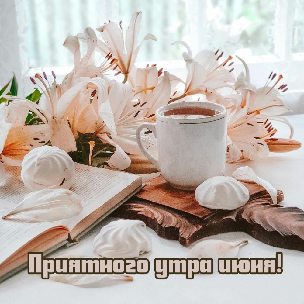 Смс с добрым солнечным утром