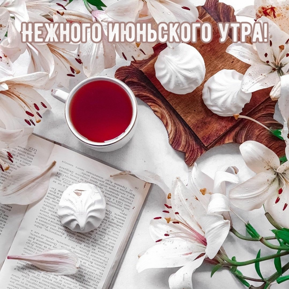 Солнечного Июньского утра и хорошего дня.