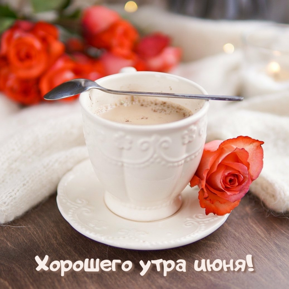 Доброго летнего утра и отличного настроения