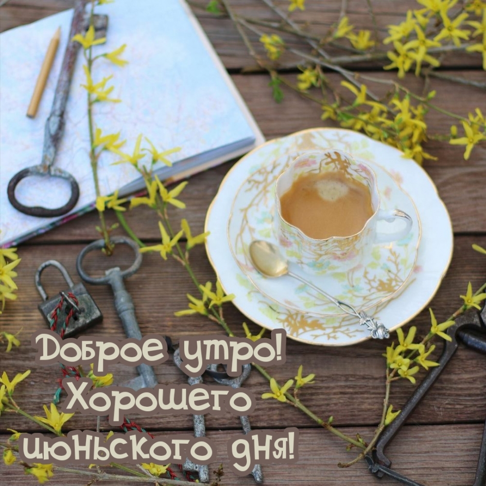 Доброе утро - картинки летние красивые цветы с кофе.