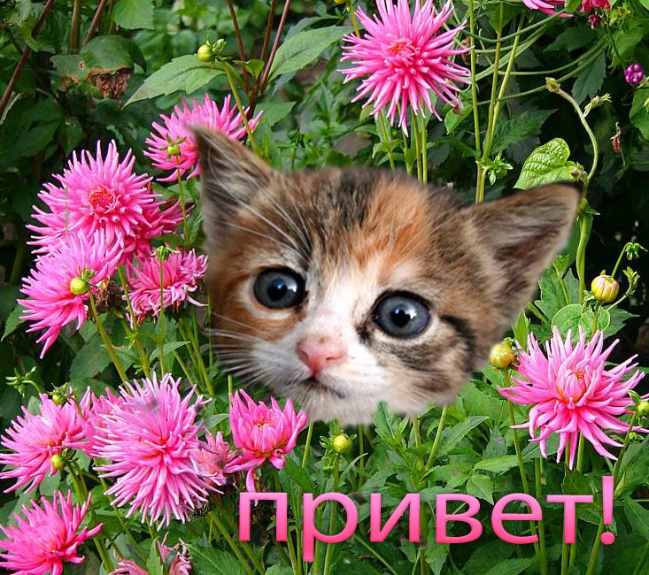 Пусть для тебя цветут цветы Удачи, счастья, красоты, От всей души тебе желаю...