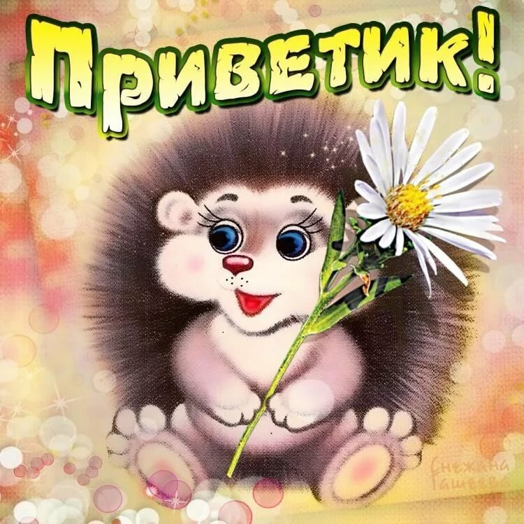 Мерцающие картинки романтический летний день.