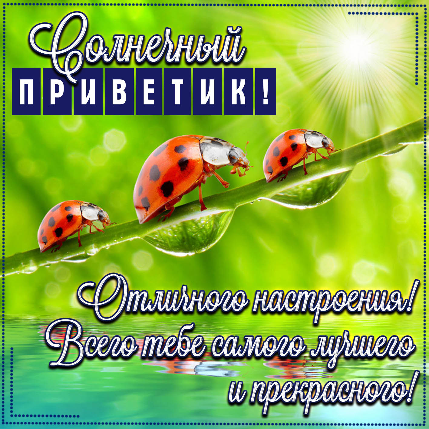Пожелания На Лето. Красивые открытки и картинки.