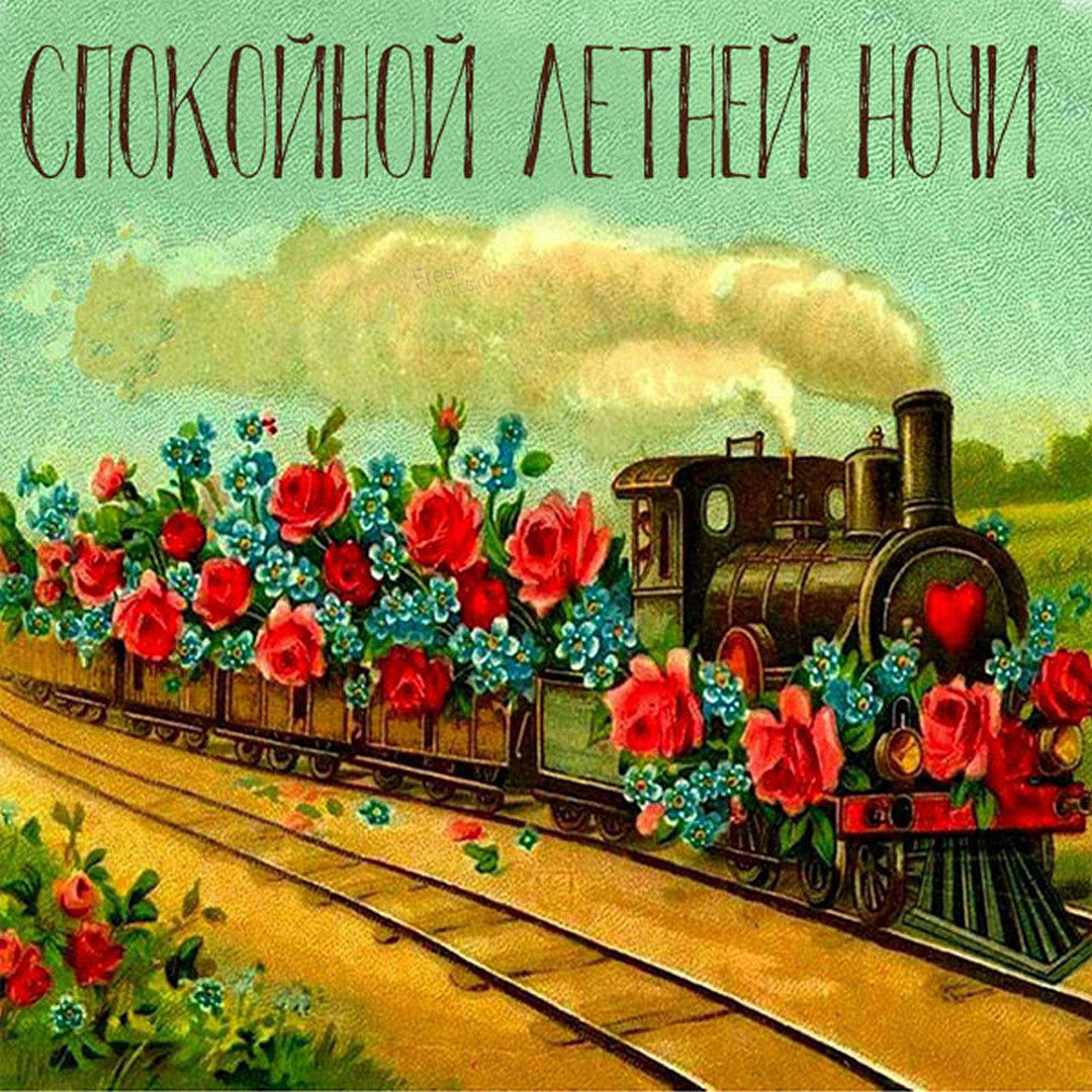 Спокойной ночи летом