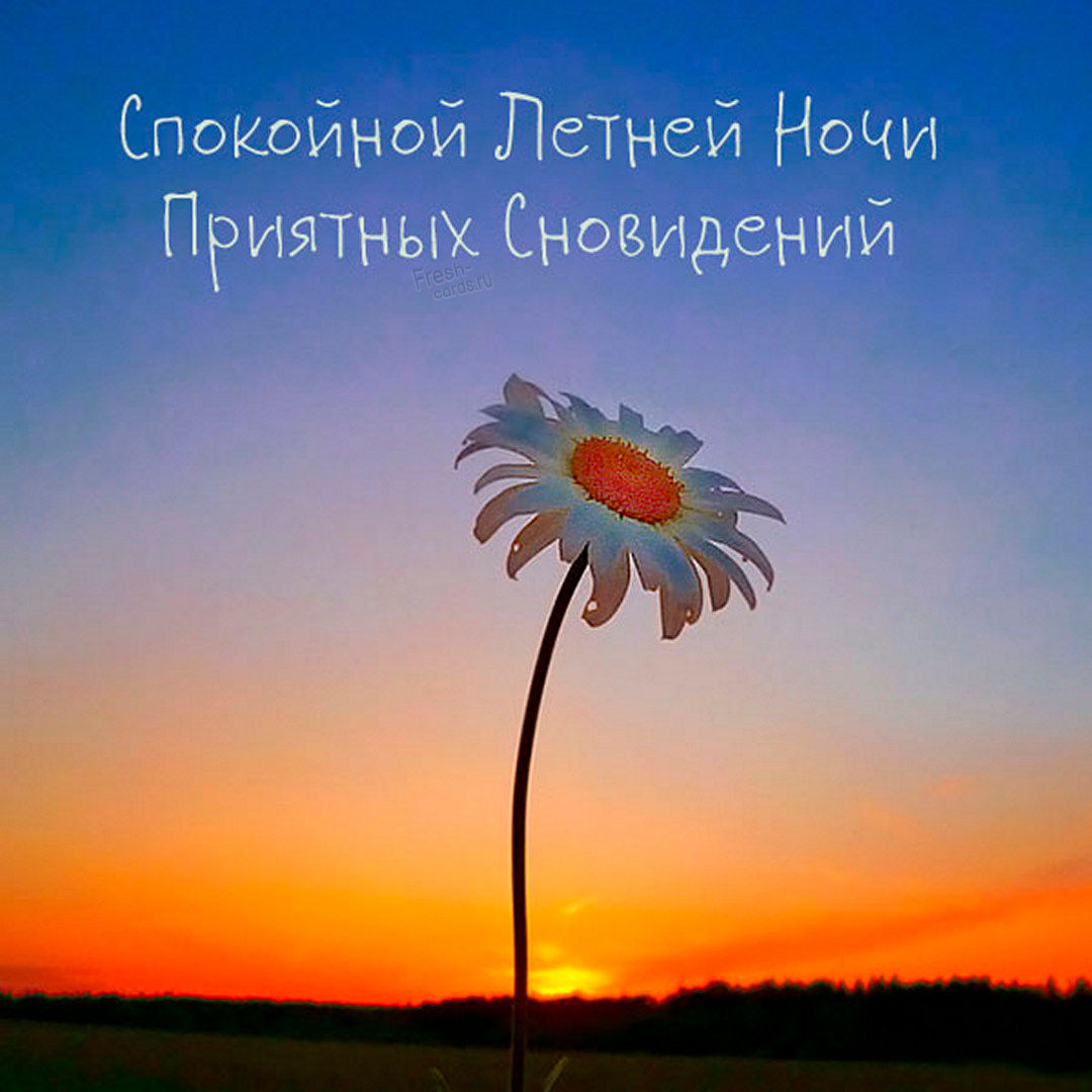 Летние картинки доброй ночи.