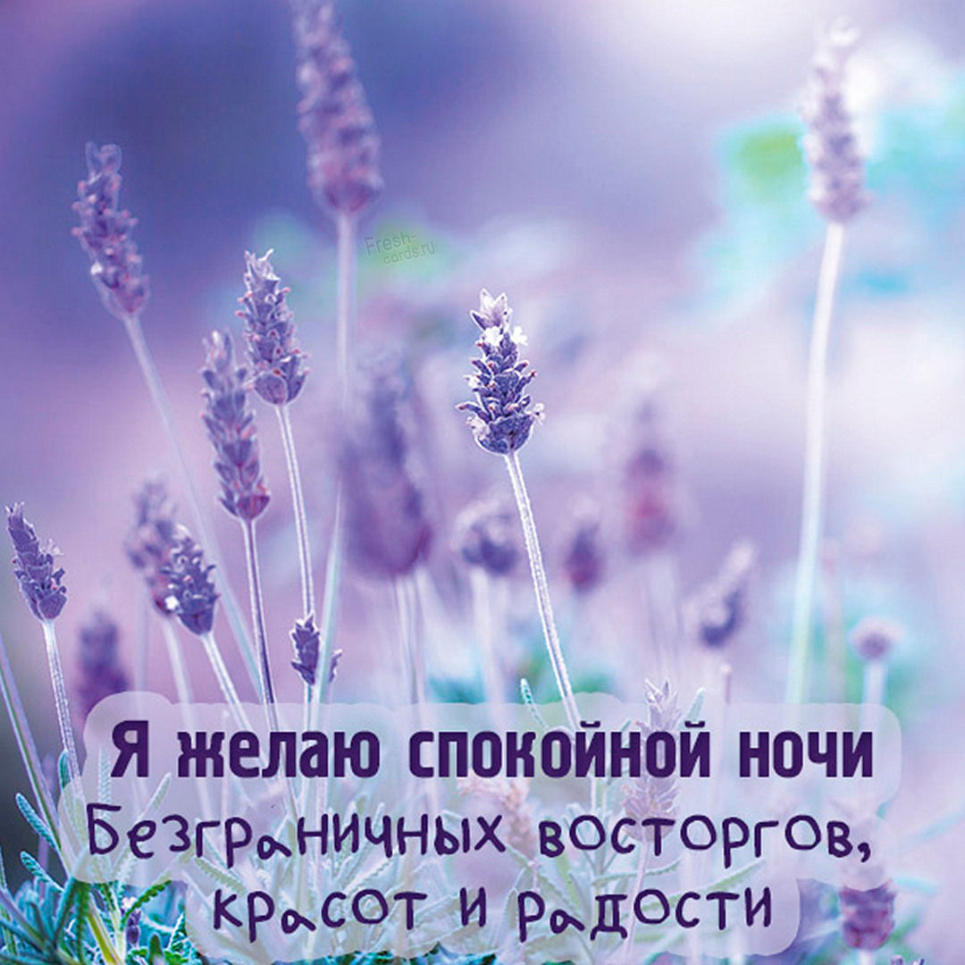 Картинки по запросу ночь на опушке леса.