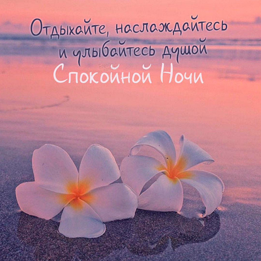 Красивые картинки пожелания спокойной ночи (40 открыток).