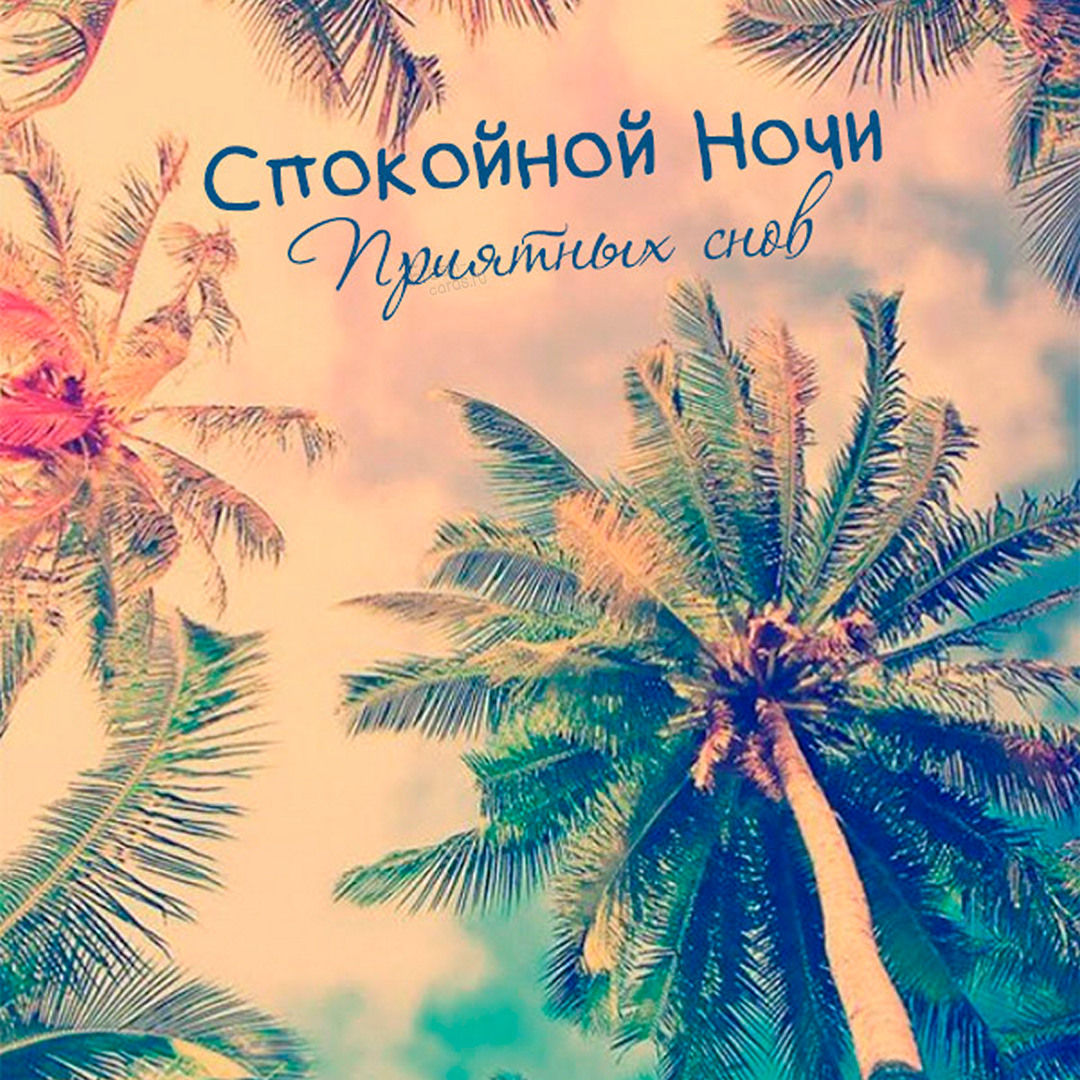 Красивой ночи и добрых снов.