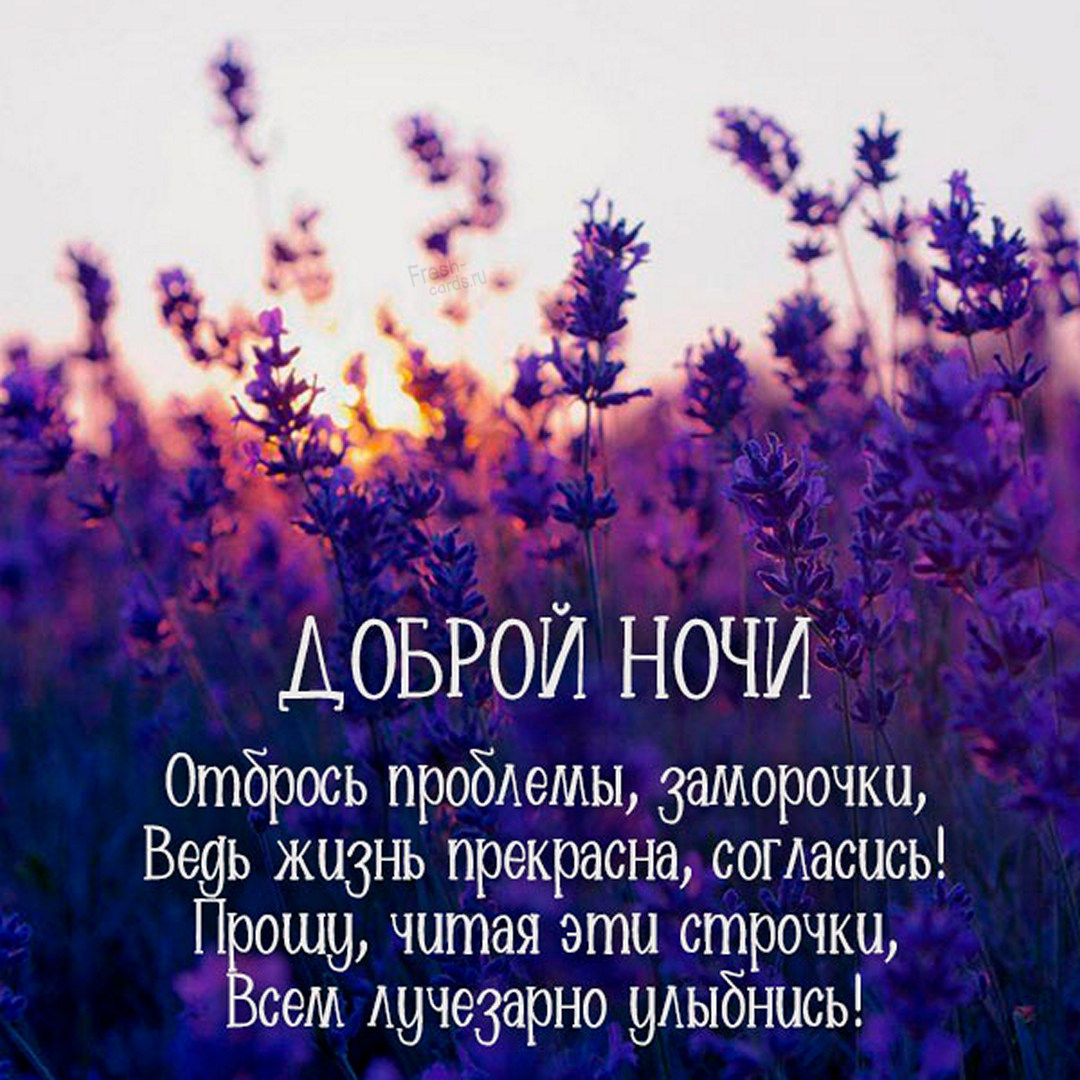 Спокойной ночи сладких снов природа