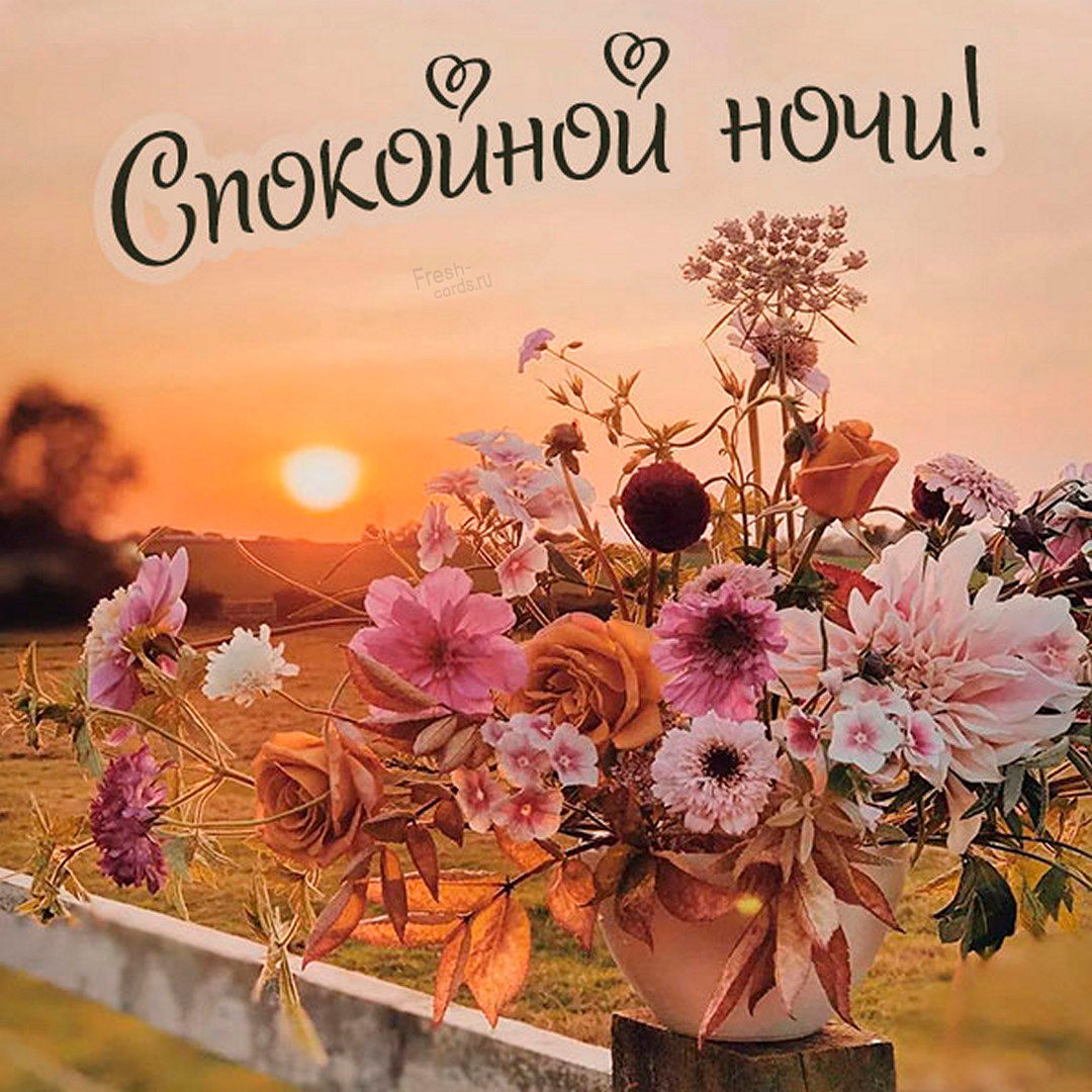 Новые летние картинки с пожеланиями "Спокойной Ночи" станут необычным посланием для ваших близких людей.