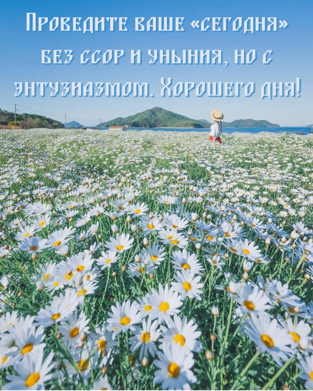 Доброго летнего дня - картинки, открытки, пожелания. Доброго летнего дня - картинки, открытки, пожелания.