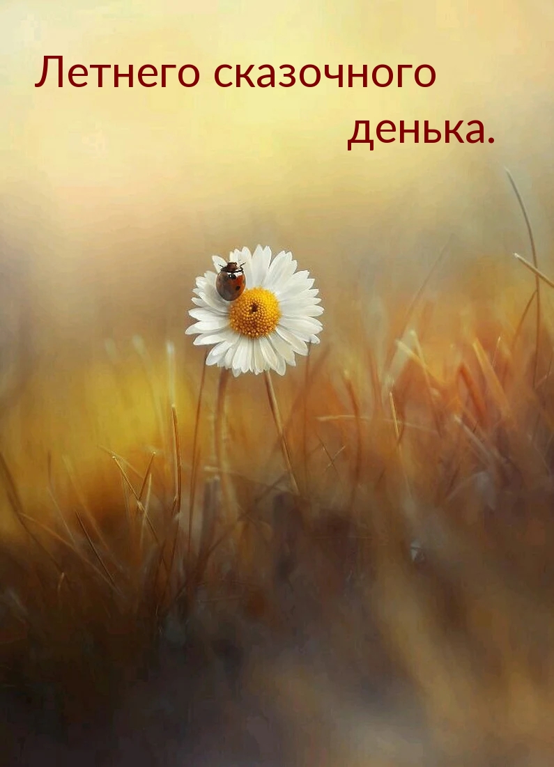 Открытки с добрым летним днем. Открытки с добрым летним днем.