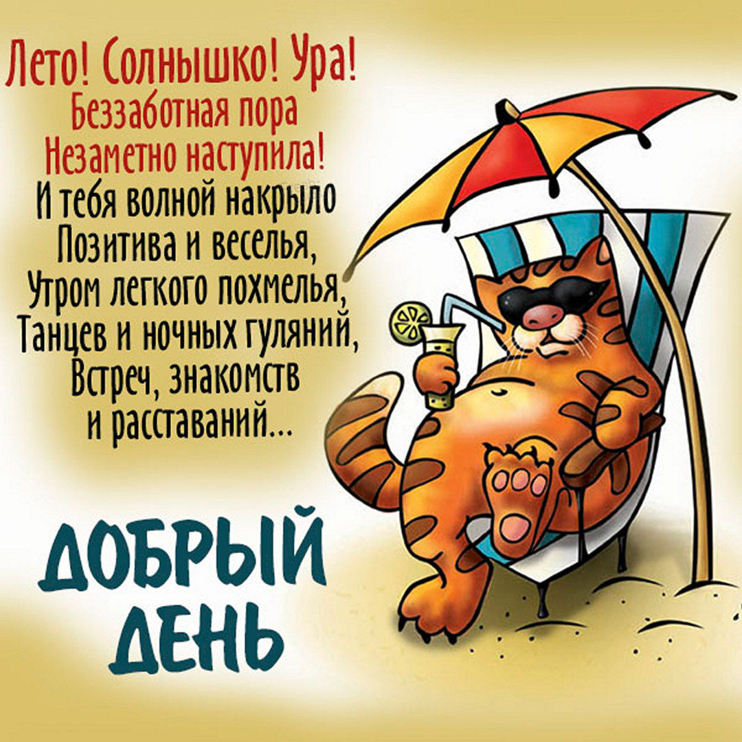 Добрый день Красивые картинки и стихи. Добрый день Красивые картинки и стихи.