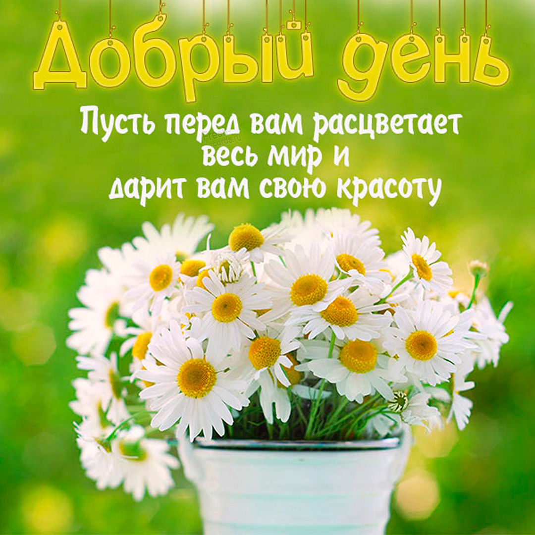 Открытки с пожеланием удачного дня. Добрый день друзья! Открытки с пожеланием удачного дня. Добрый день друзья!