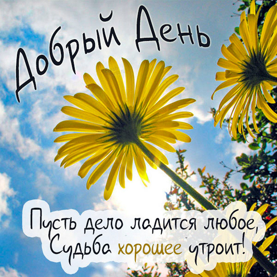 Хорошего дня летнего настроения. Хорошего дня летнего настроения.
