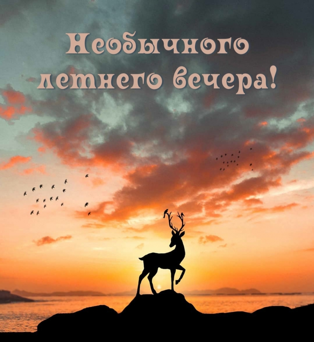 Прекрасного летнего вечера. Прекрасного летнего вечера.