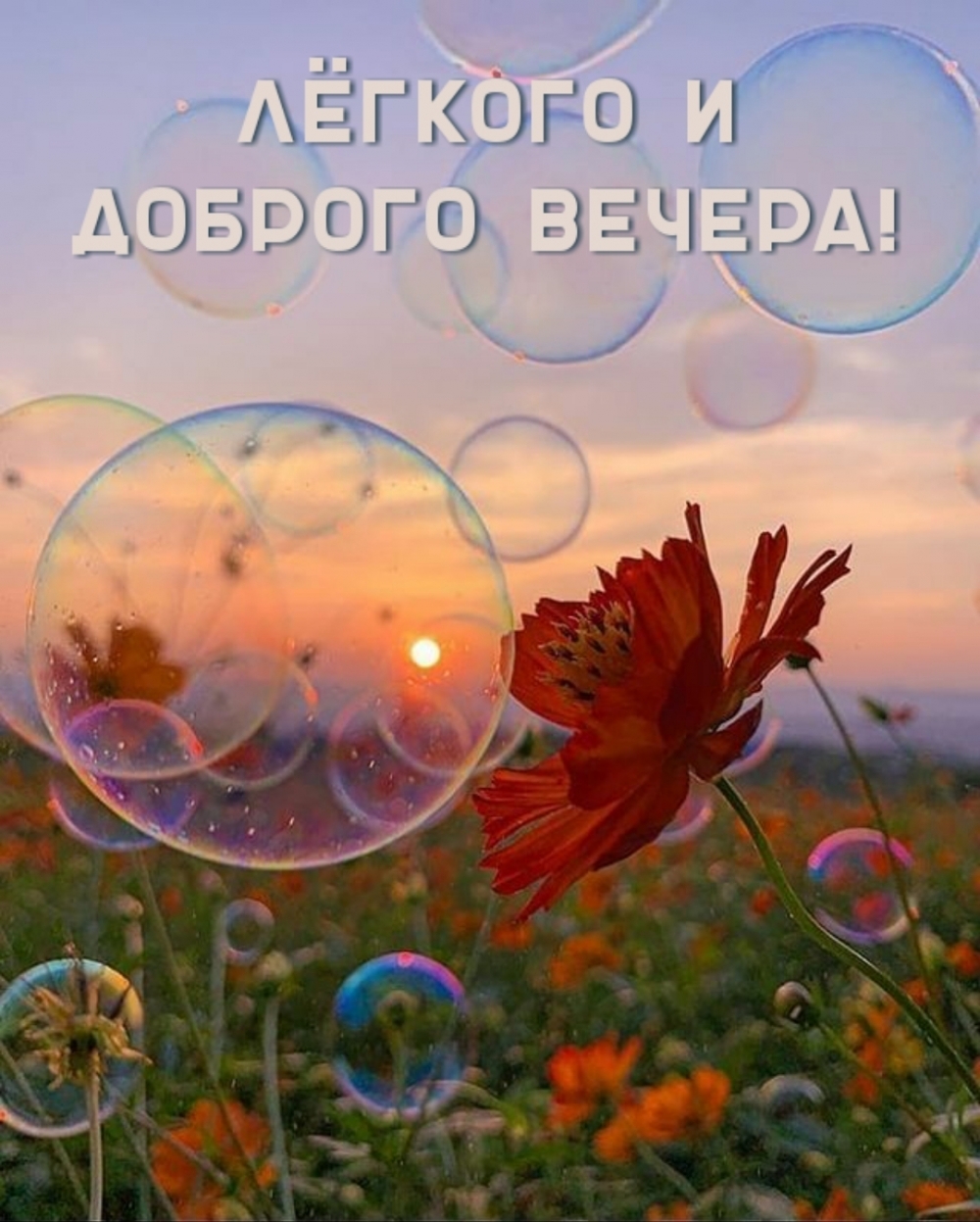 Красивые анимированные открытки с пожеланиями доброго вечера, приятного вечера, милого вечера, романтического вечера. Красивые анимированные открытки с пожеланиями доброго вечера, приятного вечера, милого вечера, романтического вечера.