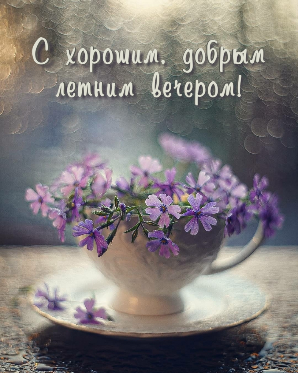 Картинку с пожеланием уютного и доброго вечера можно отправить своей второй половинке с намёком на приятное времяпрепровождение. Картинку с пожеланием уютного и доброго вечера можно отправить своей второй половинке с намёком на приятное времяпрепровождение.