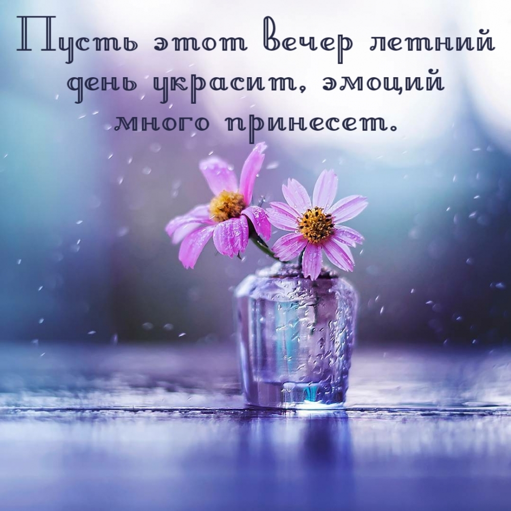 Доброго летнего вечера друзья. Доброго летнего вечера друзья.