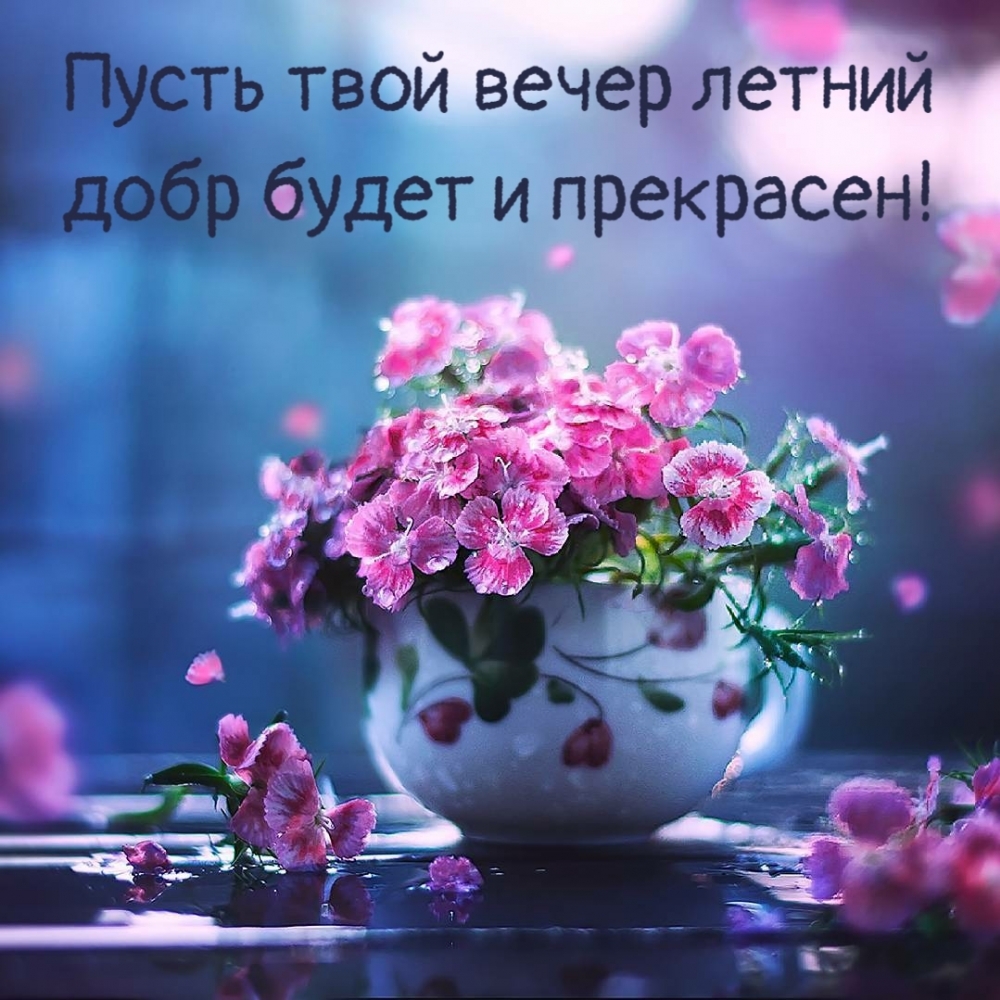 Предлагаем вашему вниманию красивые картинки — Добрый вечер Июня! Предлагаем вашему вниманию красивые картинки — Добрый вечер Июня!