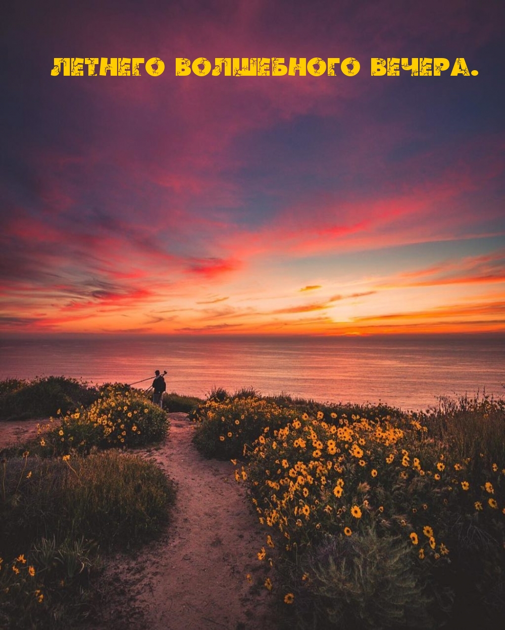 Добрый июньский вечер! — красивая открытка. Прекрасного летнего вечера! Добрый июньский вечер! — красивая открытка. Прекрасного летнего вечера!