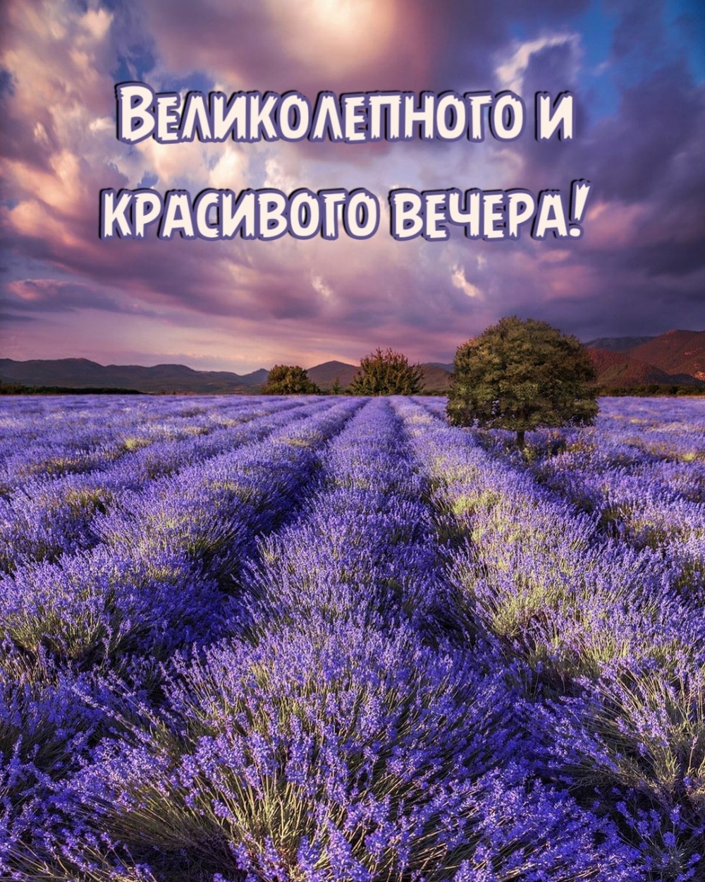 Летние картинки: добрый вечер! Летние картинки: добрый вечер!
