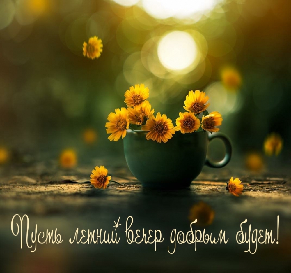 Картинки с добрым вечером июня - Это красивое пожелание! Картинки с добрым вечером июня - Это красивое пожелание!
