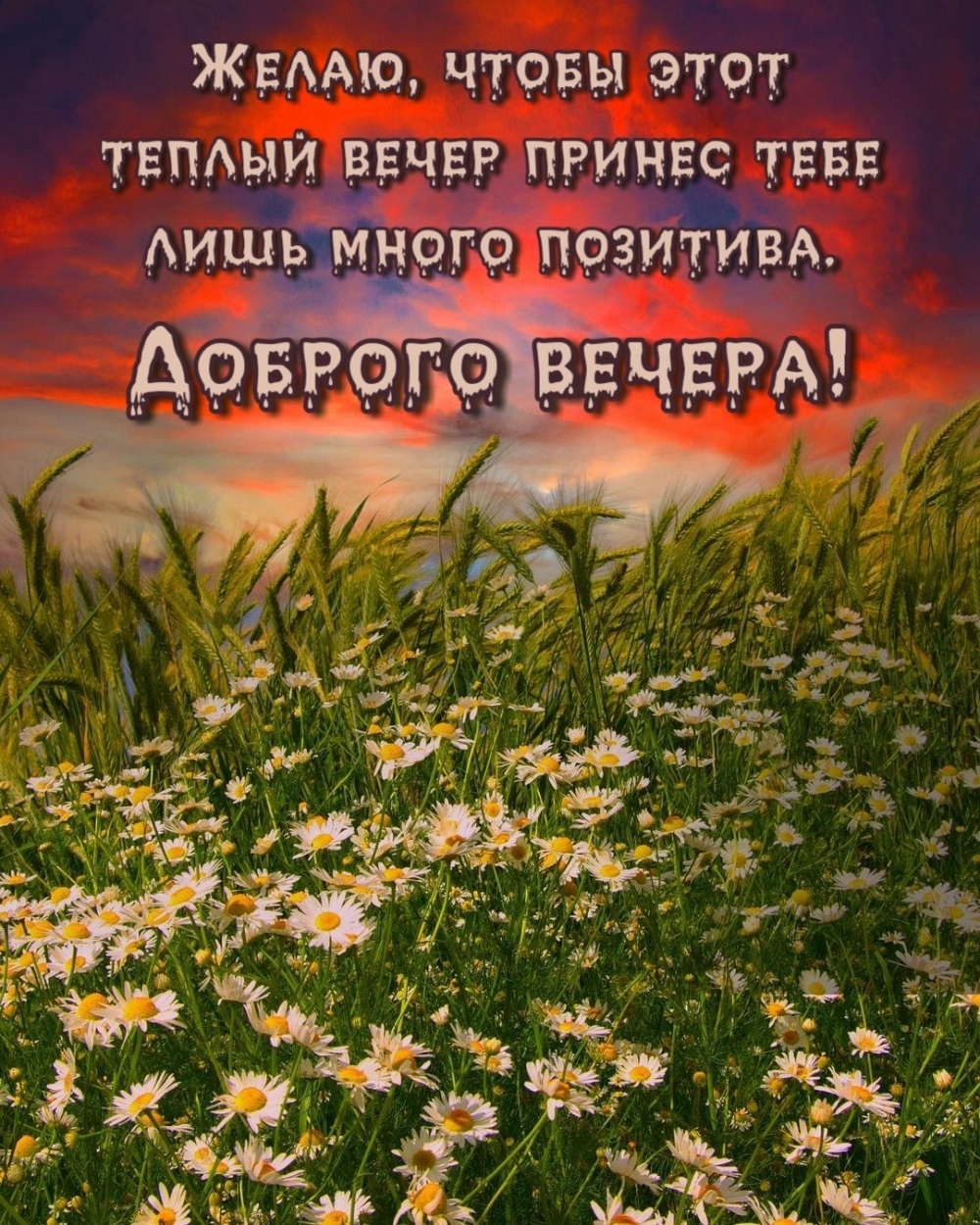 Открытка - Доброго июньского вечера. Открытка - Доброго июньского вечера.