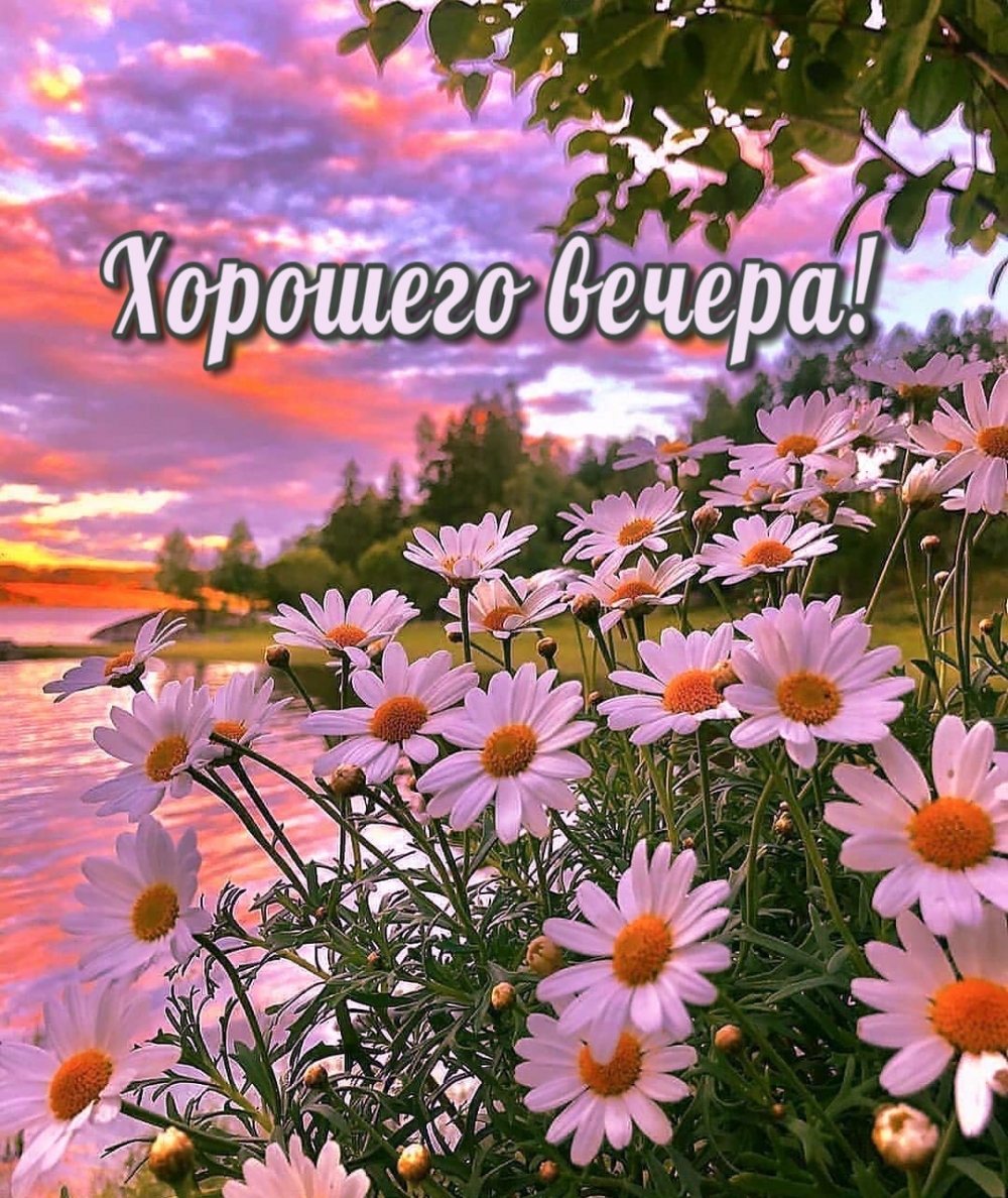 Приятного летнего вечера, Доброго летнего вечера. Приятного летнего вечера, Доброго летнего вечера.