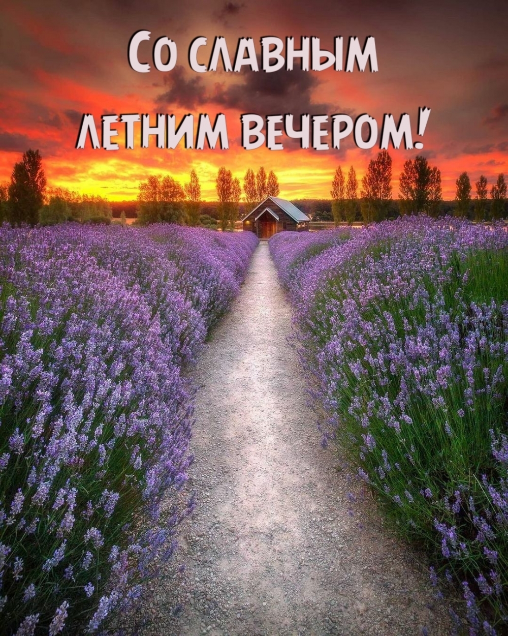 Скачать красивую картинку добрый летний вечер бесплатно. Скачать красивую картинку добрый летний вечер бесплатно.