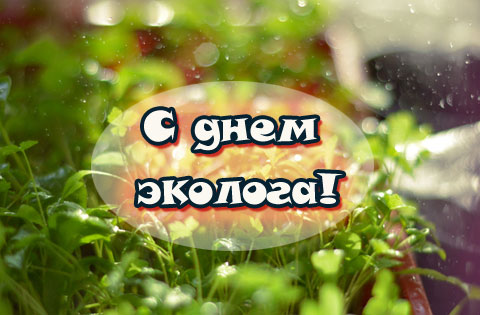 Всемирный день окружающий среды