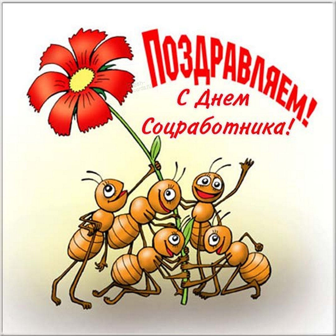 Поделиться красивыми картинками с днем социального работника может любой человек, кто помогает людям в тяжелой жизненной ситуации.